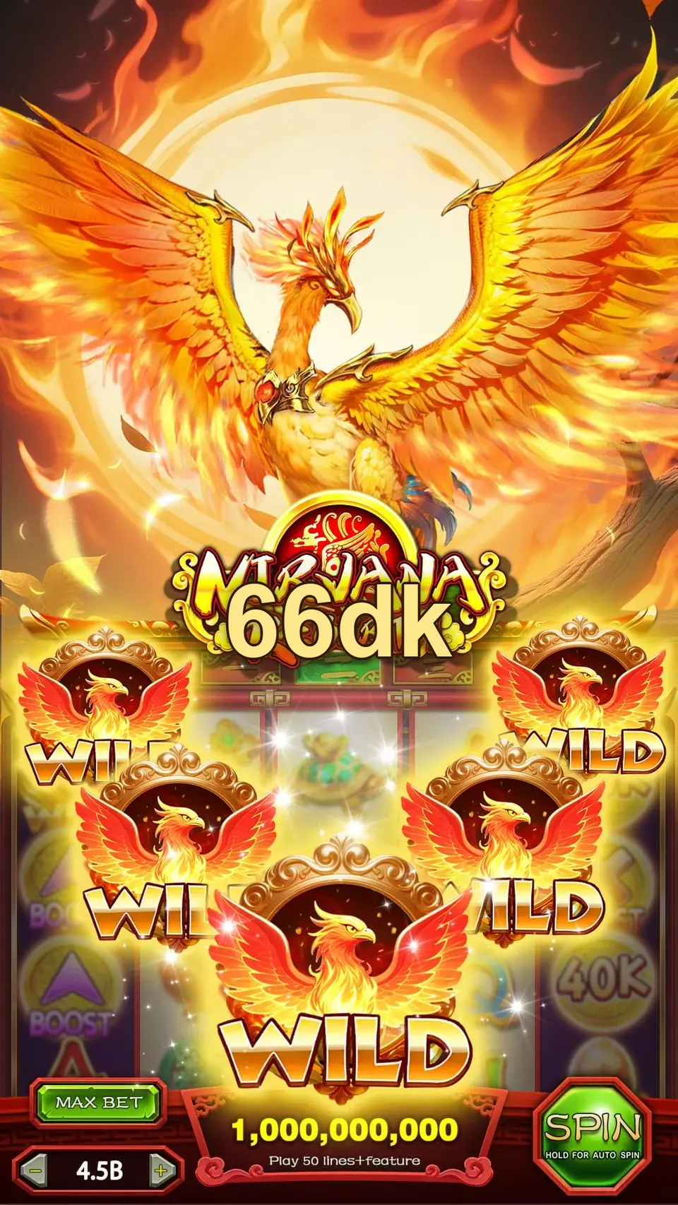 66dk Login